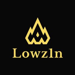 Lowz1nShop